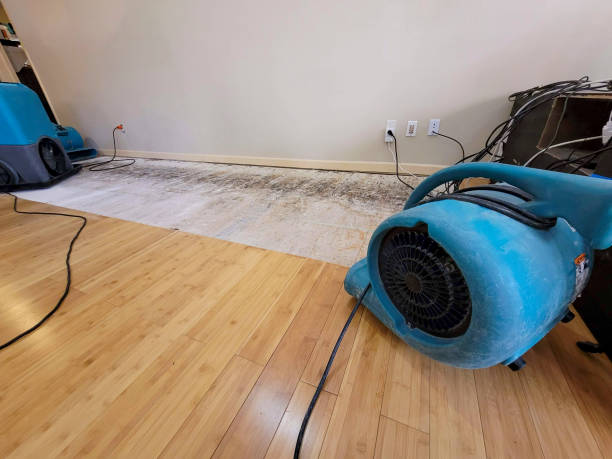 Professional Basement Flood Cleanup technician working in Greenfield, WI